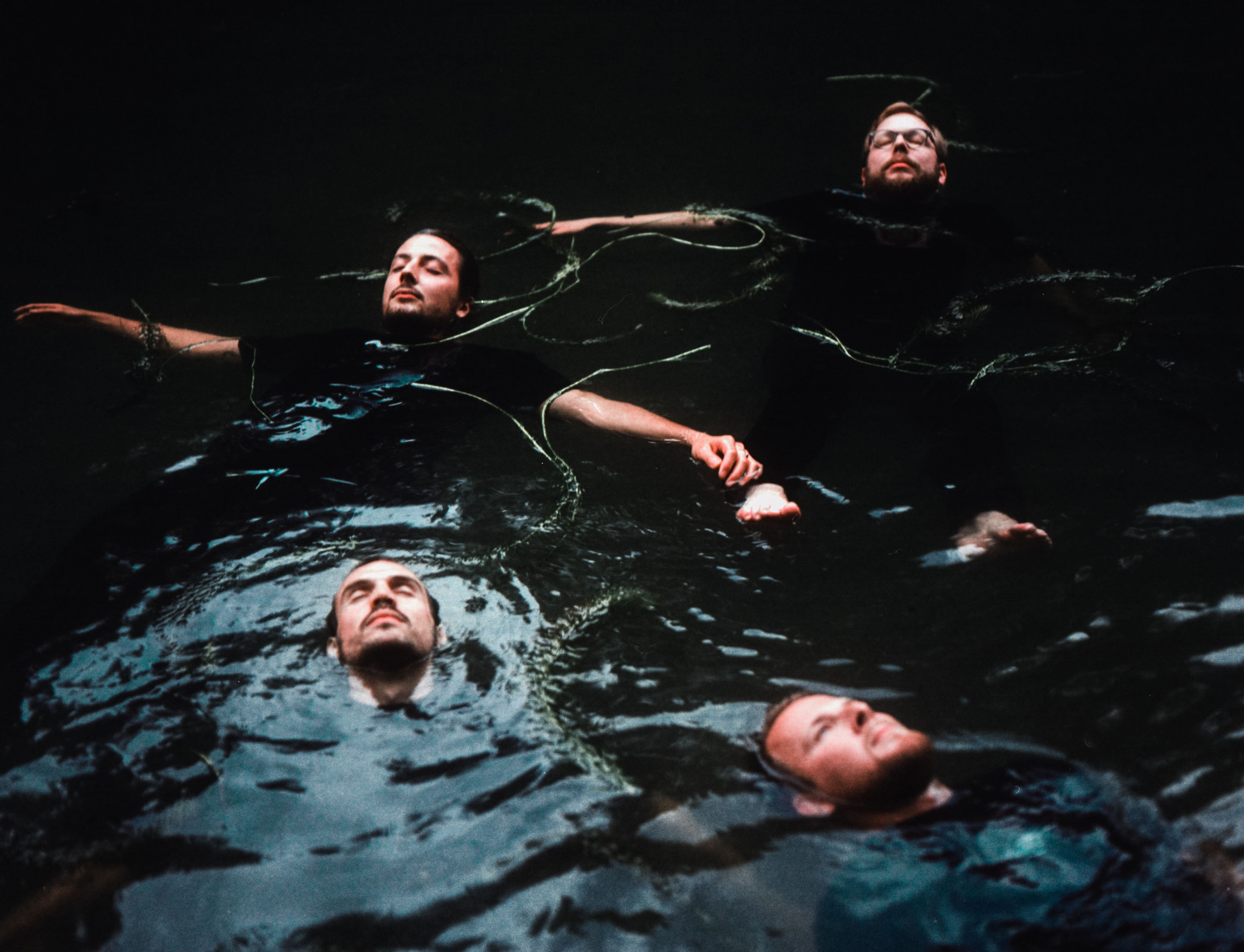 Bees Made Honey in the Vein Tree